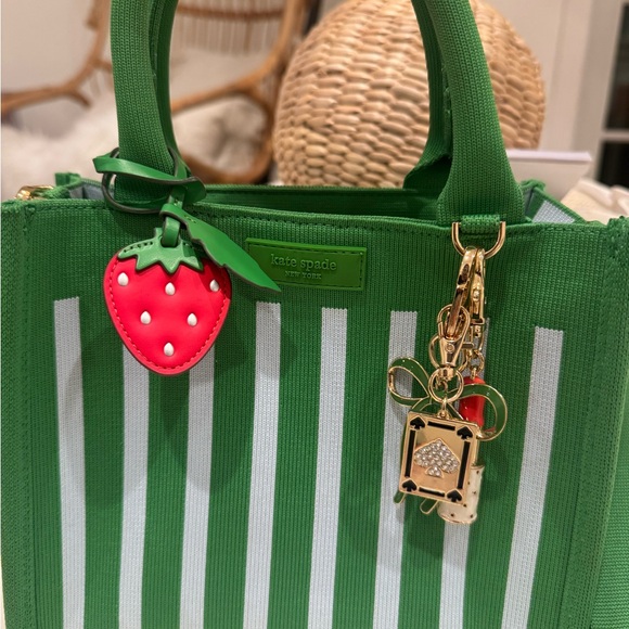 Kate Spade/ Target collab Green and light blue Striped Tote+ Charms - Picture 3 of 13